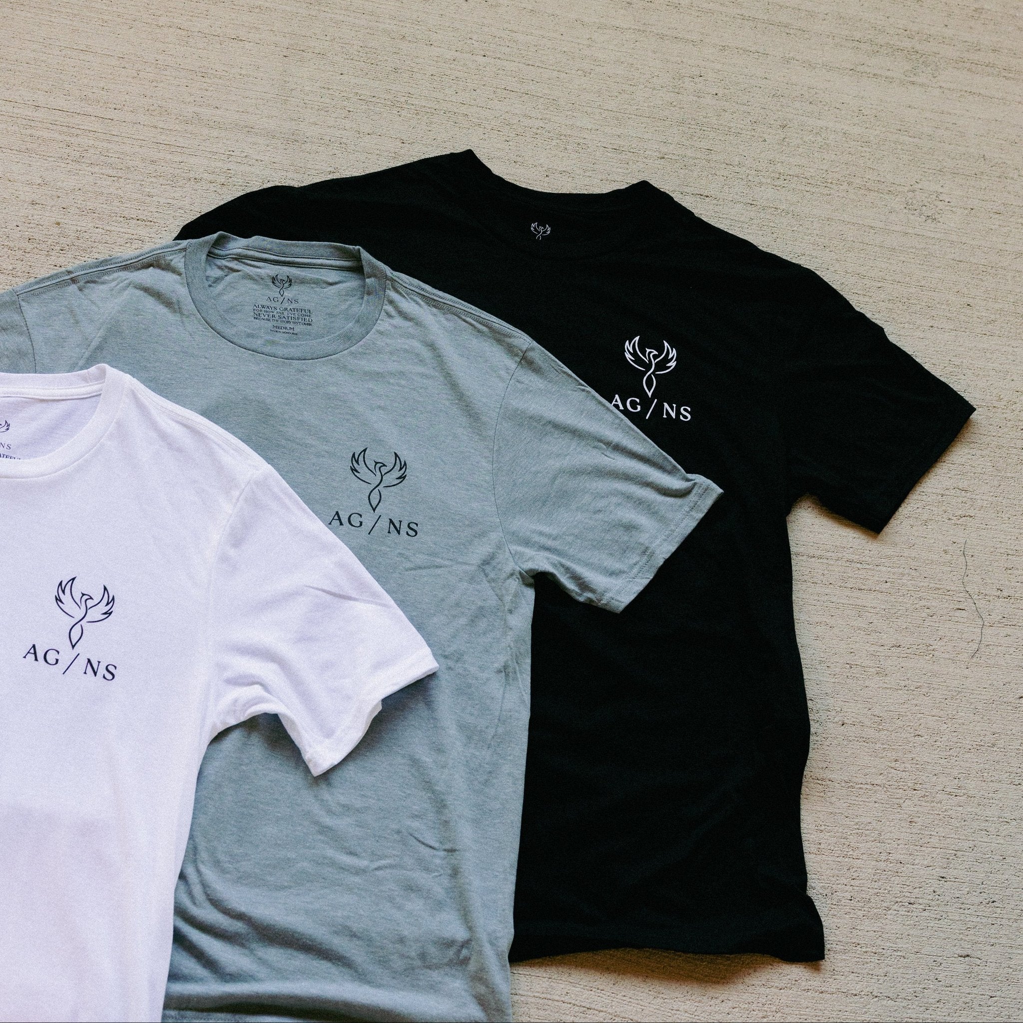 AG/NS The Standard Foundation Bundle